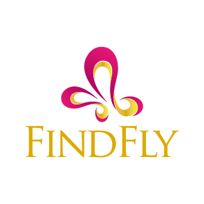 FINDFLY品牌战略规划与视觉设计